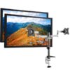 Dual 22" HD Monitor with Desk Mount Arm