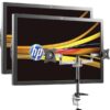 Dual 24" Full HD Monitors with Desk Mount Arm