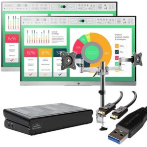 Dual HP 22" Monitors with Desk Mount Arms and a USB-A Docking Station - Complete Setup / All-you-need