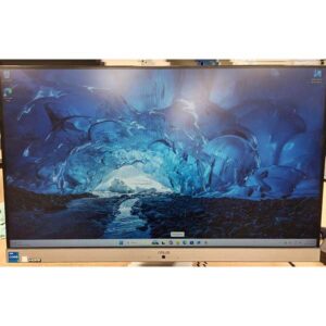 Vivo AiO V241EA
